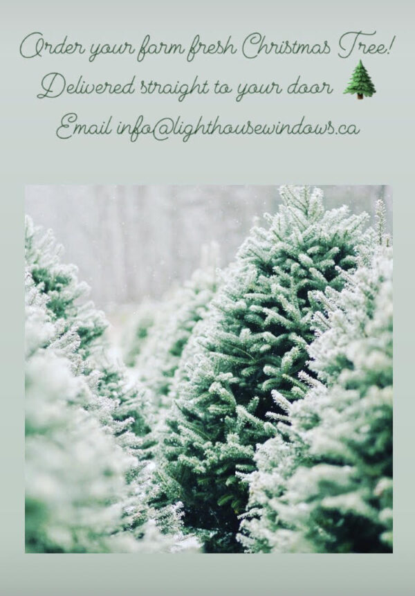 Farm Fresh Christmas Tree Delivery Lighthouse Windows and Cleaning