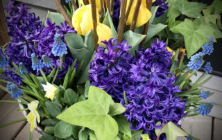 Collingwood Blue Mountains seasonal planter subscriptions spring