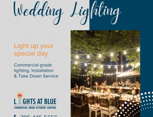 Look No Further For Your Special Occasion Patio or Backyard Lights!!!