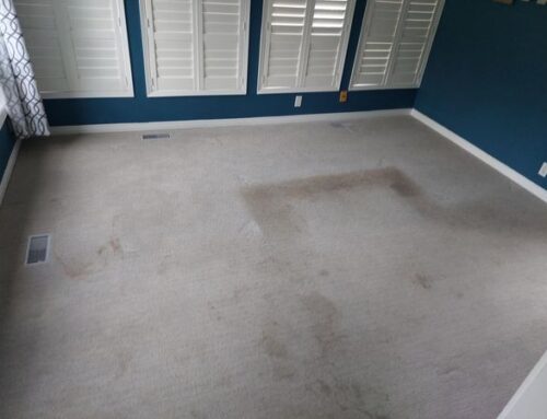 We Have Carpet Cleaning Covered!