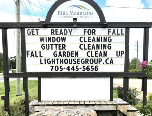 Get Ready For Fall With Our Team At Lighthouse Group!
