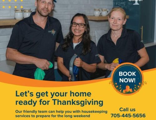 Let Our Team Take Care Of All Your Cleaning Needs This Fall!