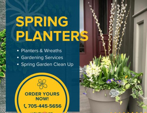 Time To Order Your Custom Spring Planters & Wreaths!