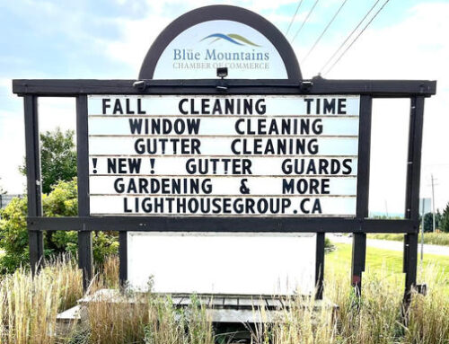 It’s Time To Start Thinking About Your Fall Cleaning Needs!