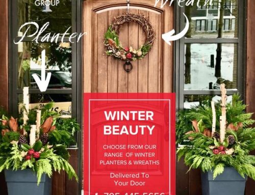 Planters, Wreaths, Swags, and Garlands!