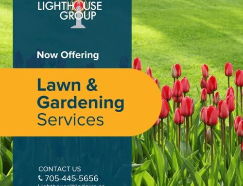 Exciting News: Lawn Care & Grass Cutting Services Now Available!