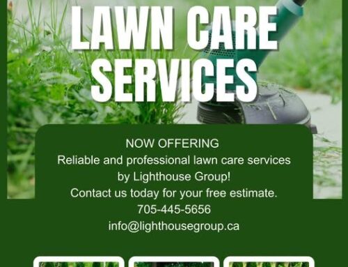 Reliable Lawn Care & Garden Maintenance – We’ve Got You Covered!