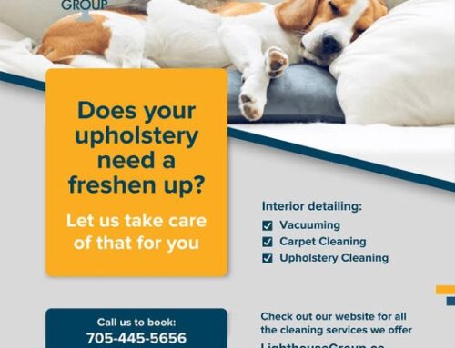 Freshen Up Your Home This Winter: Enjoy 20% Off Carpet & Upholstery Cleaning